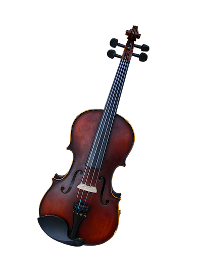 Violon